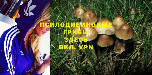 MDMA Богданович